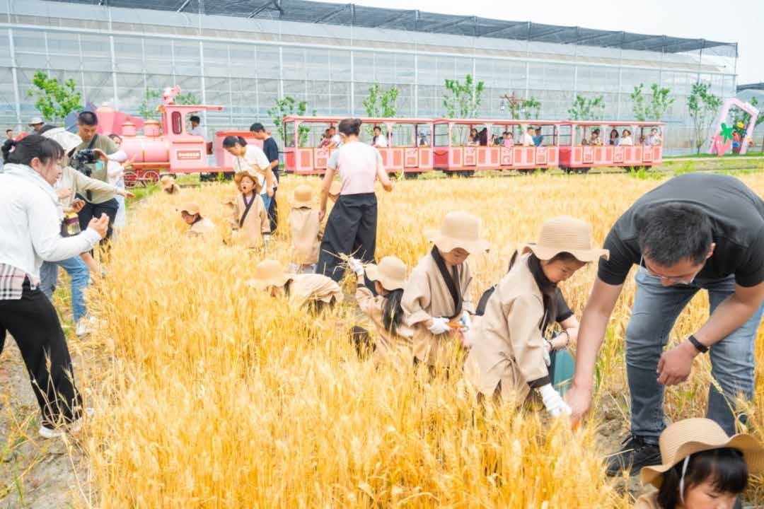 学农营地活动